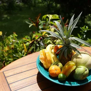  Appartement Le Talisman Guadeloupe